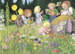 Sommarängen